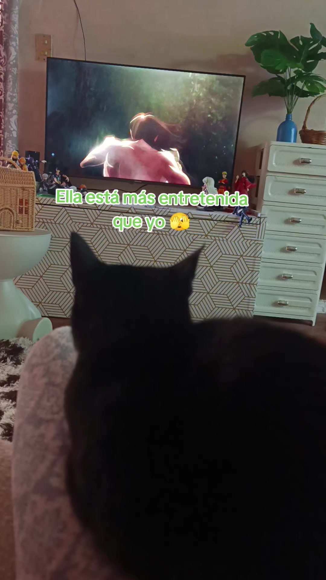 @ArelyHB