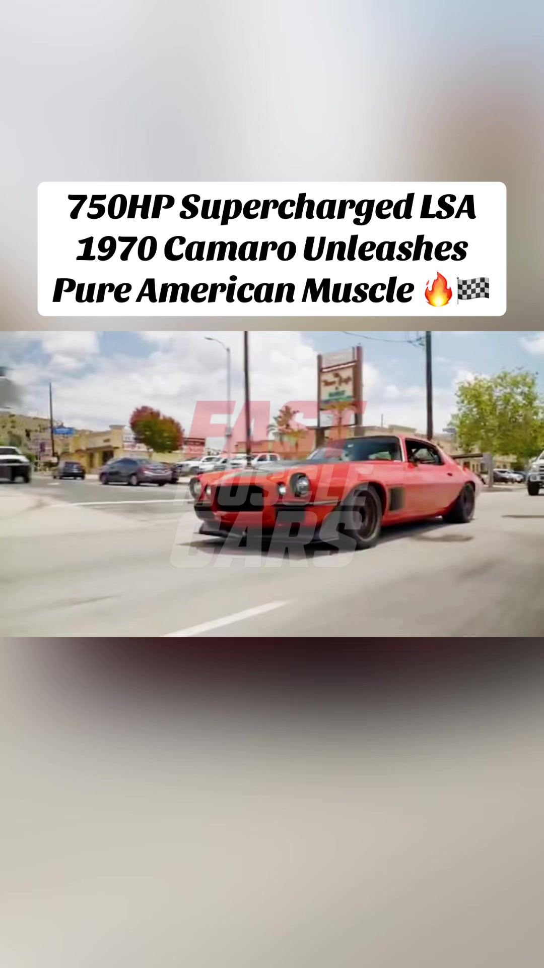 @Muscle Cars