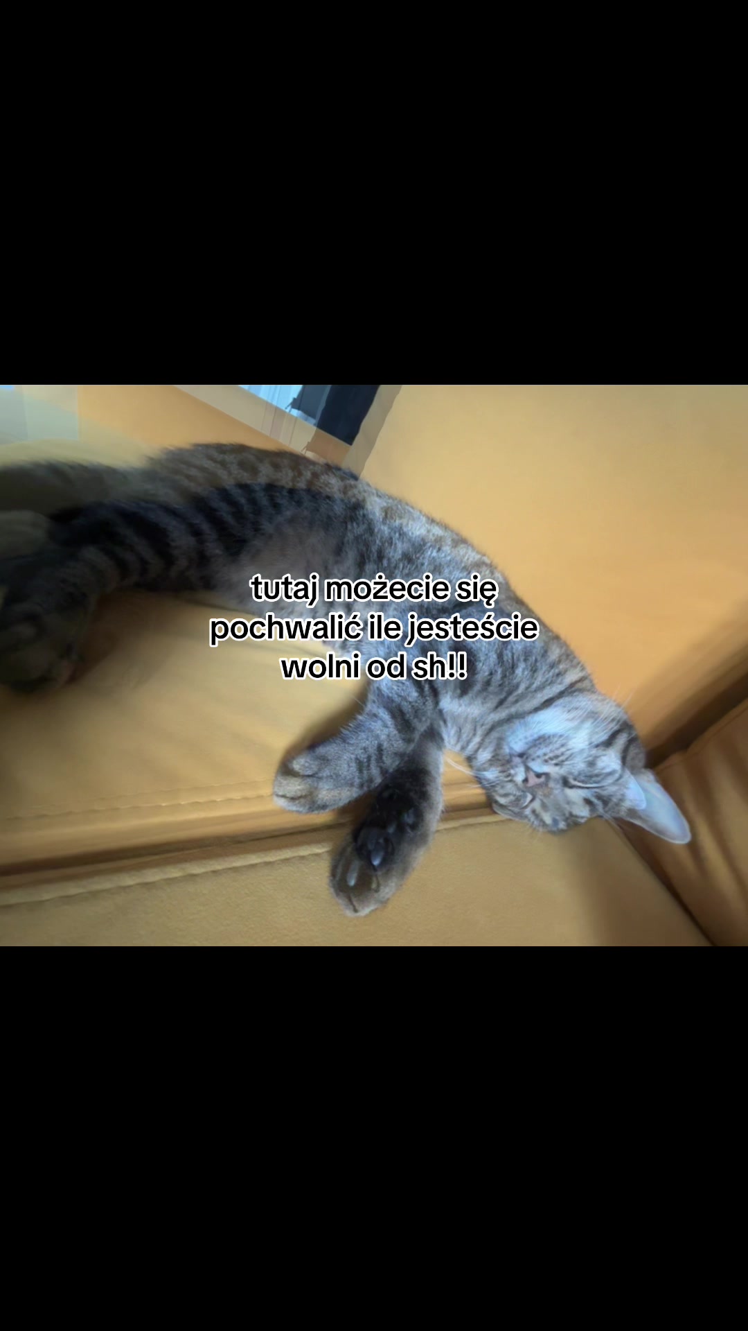 @๐ชฆ