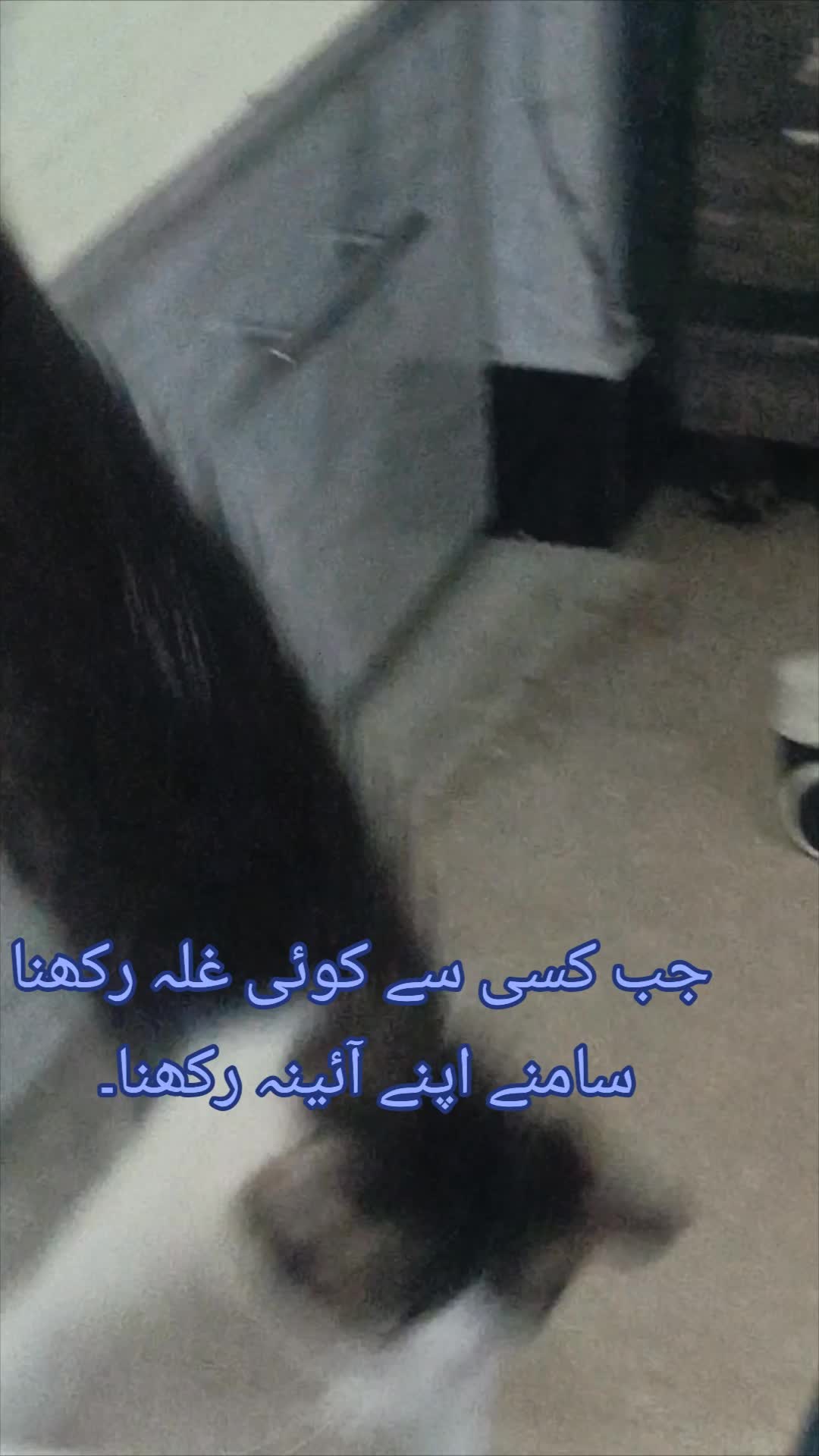 @Mr. AK008