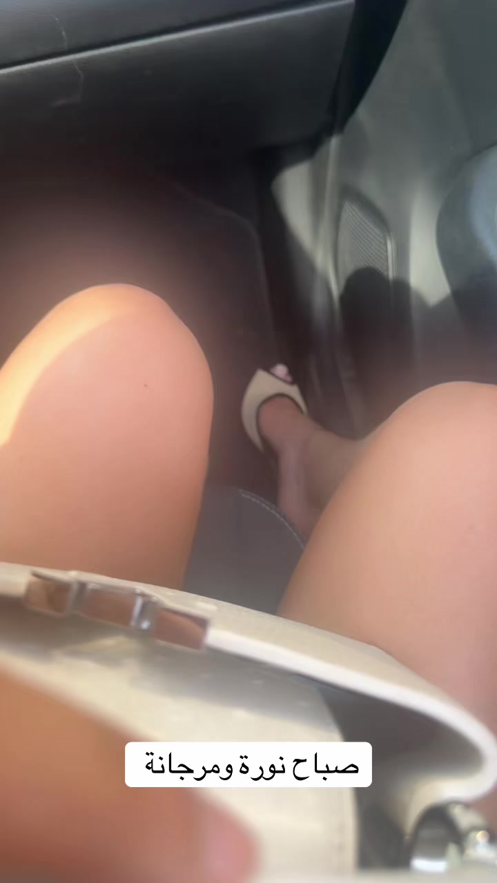 @نورة فيرزاتشي