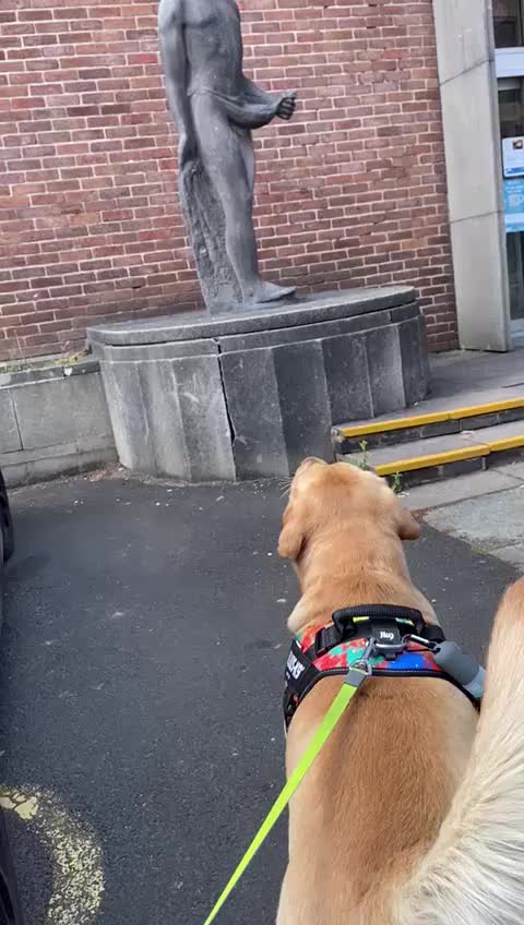 @Marley..🐾❤️