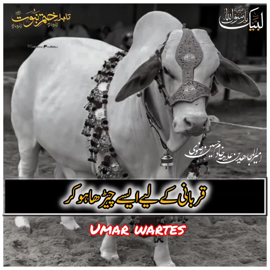 @☝️⭐༄گمنام مجاھد༄⭐💫