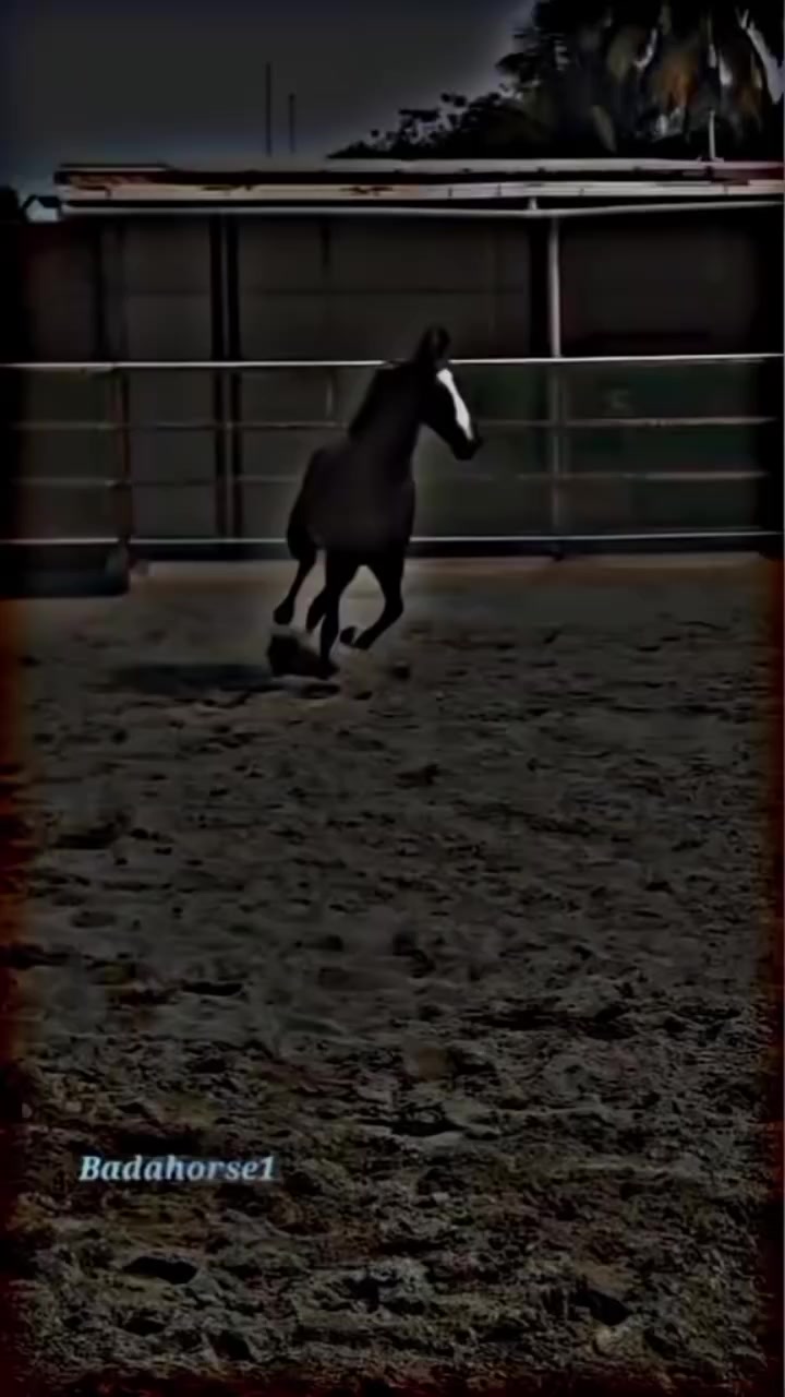 @⫸𝙈𝙞𝙍𝙯𝘼✫𝙎𝙖𝙍𝙆𝙖𝙍✫⫷