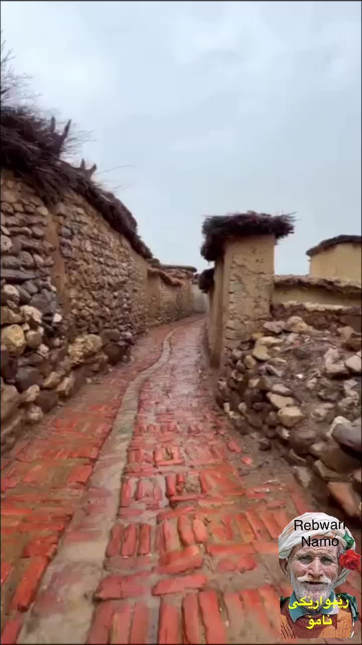 @rebwari namo رێبوارێکی نامۆ
