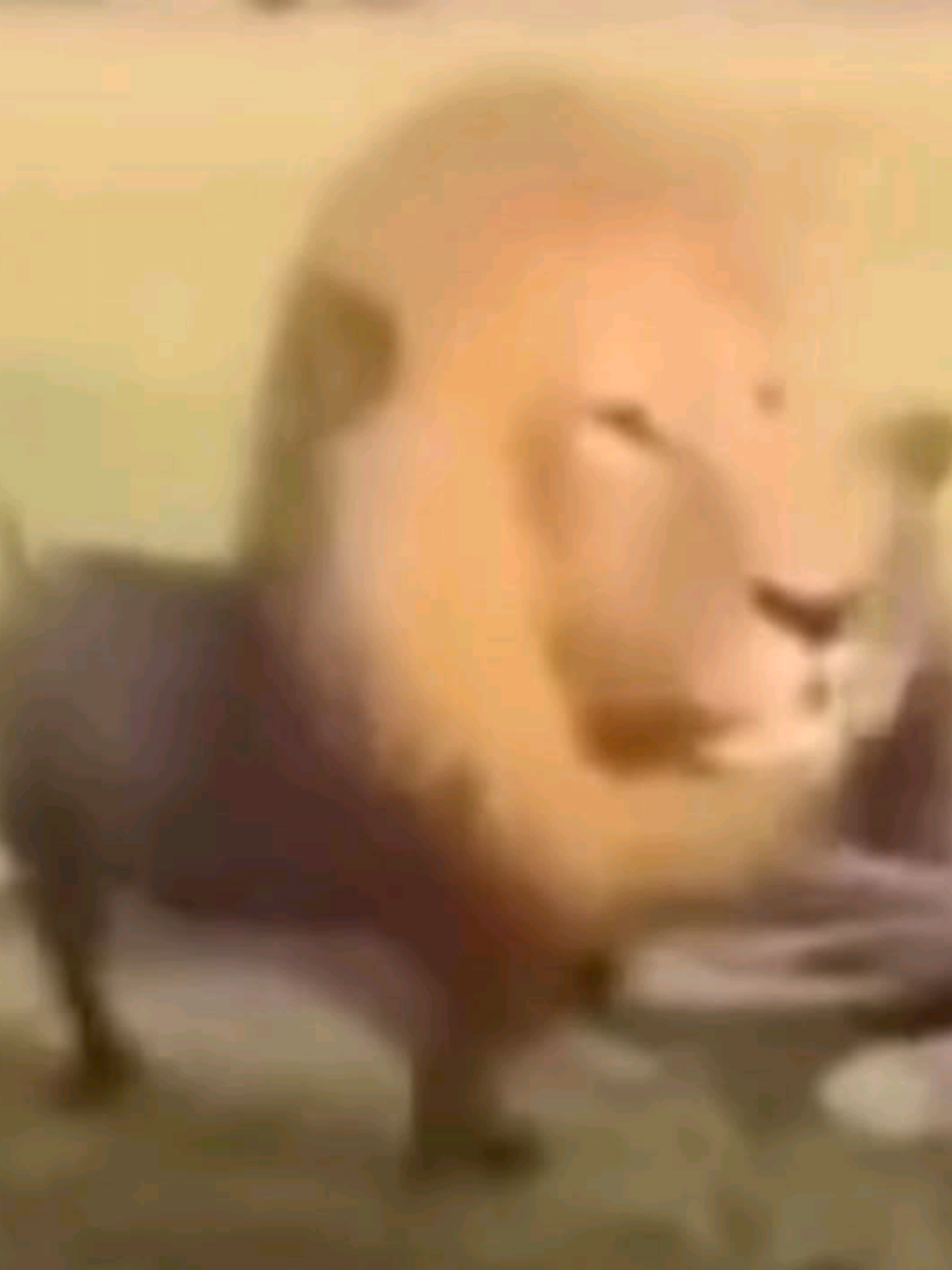 @⋆𝓥𝓮𝓻𝓲𝓽𝓸 ⋆