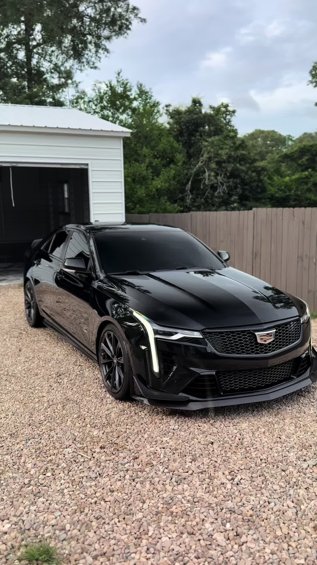 @blackoutt.v 🦇