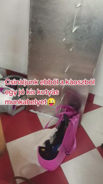 @Viki-Kutyakozmetika Másképp