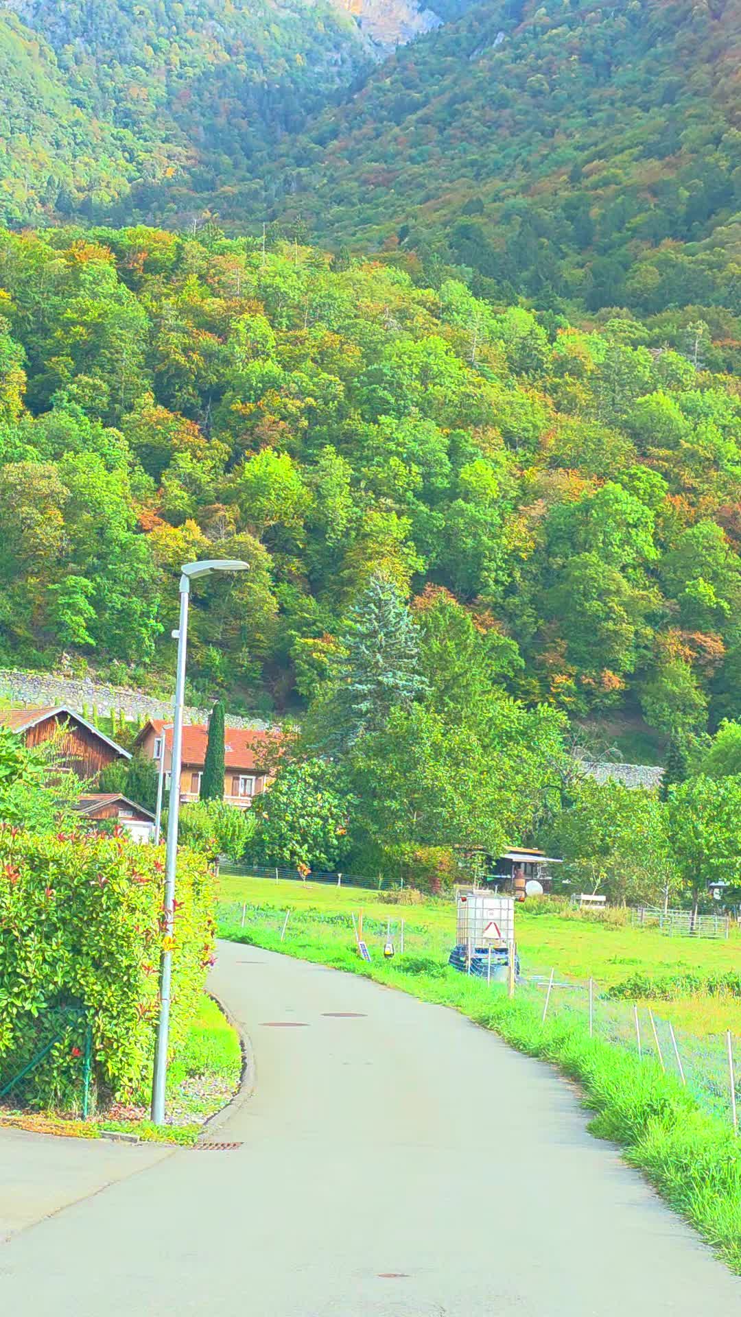 @flores Sérgio