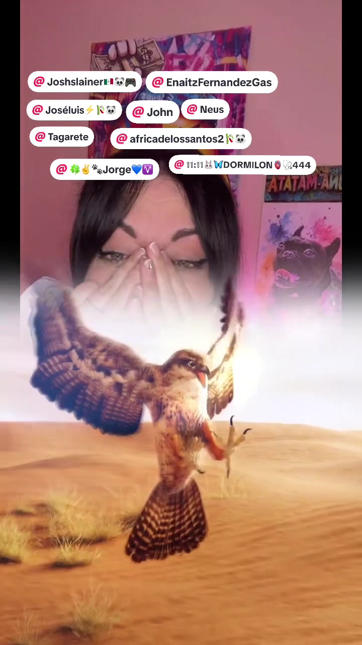 @𝒦𝒾𝓏𝓊𝓃𝒶_🎋🐼