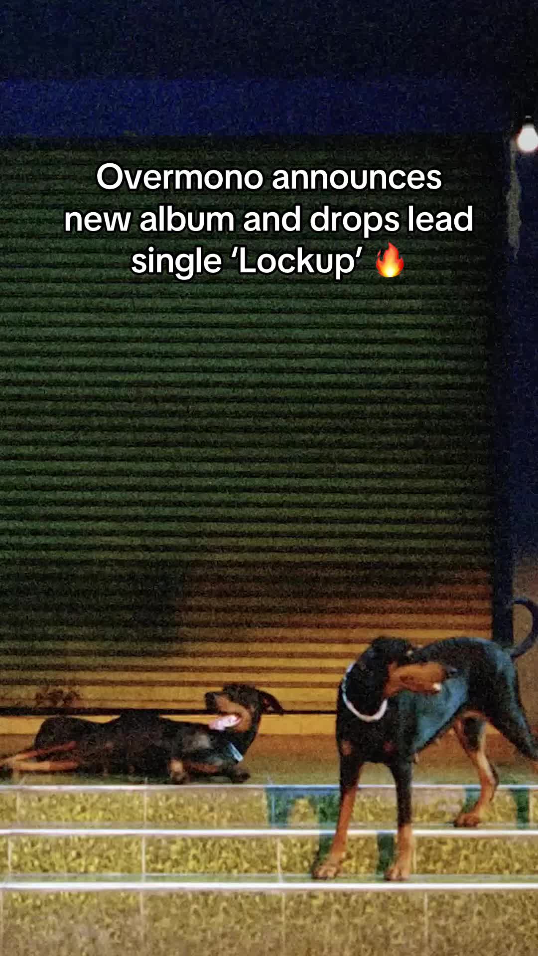 @Crack Magazine