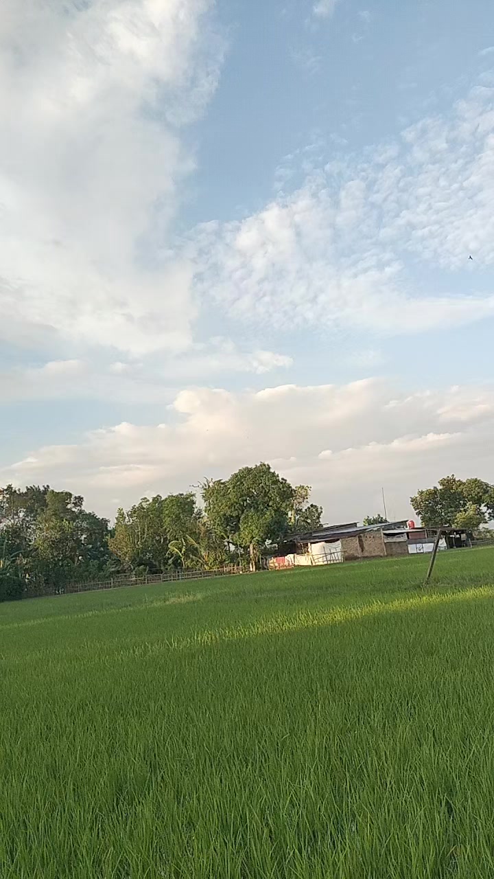 @Askasma