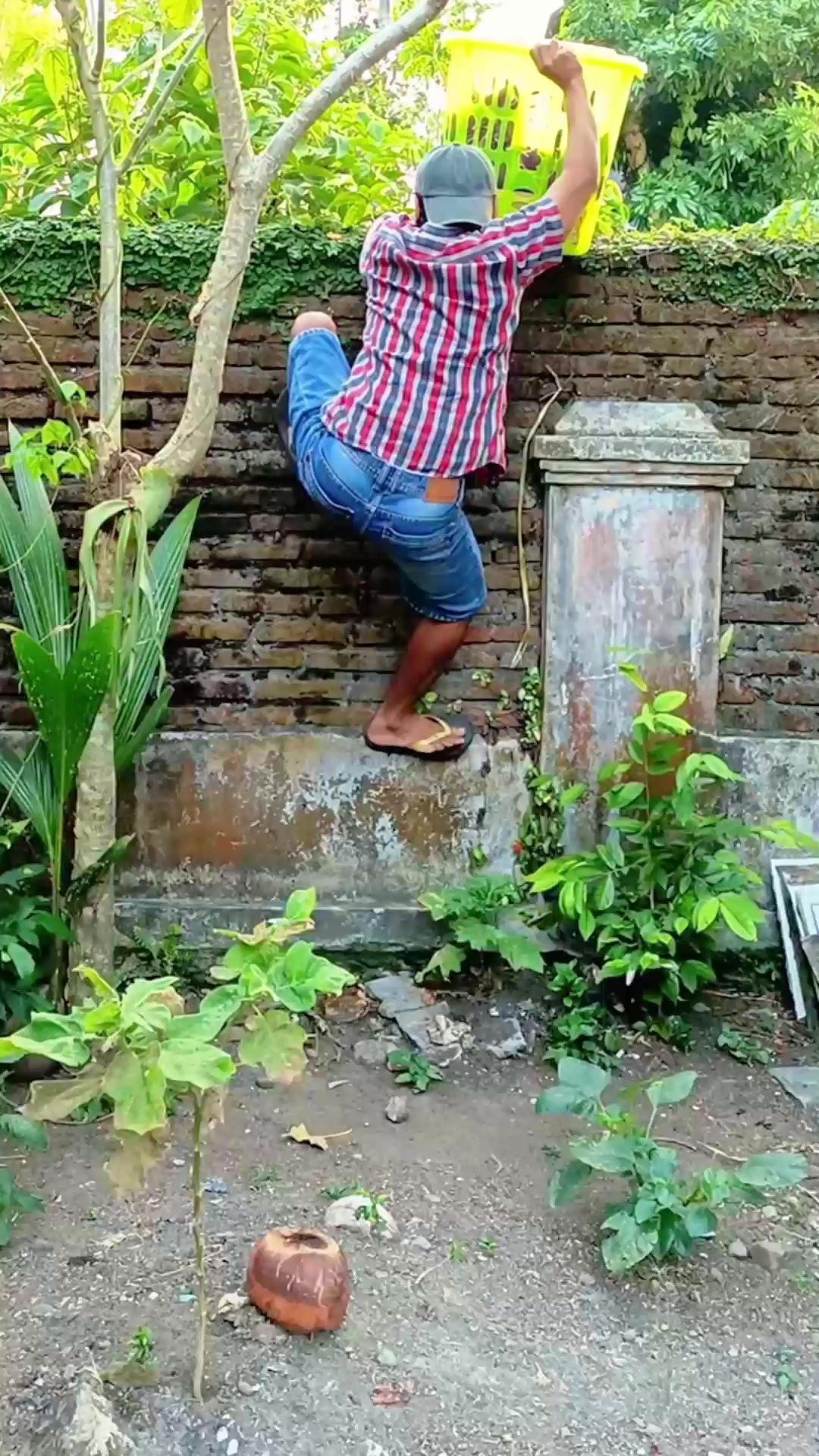 @Omi van Oxe