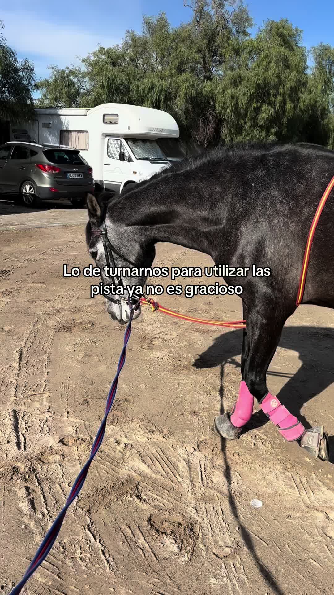 @Ana