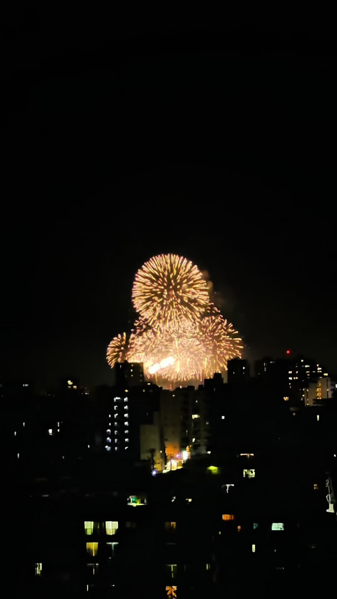 @歌舞伎町に花咲く電工女子達|電気工事|光の世界