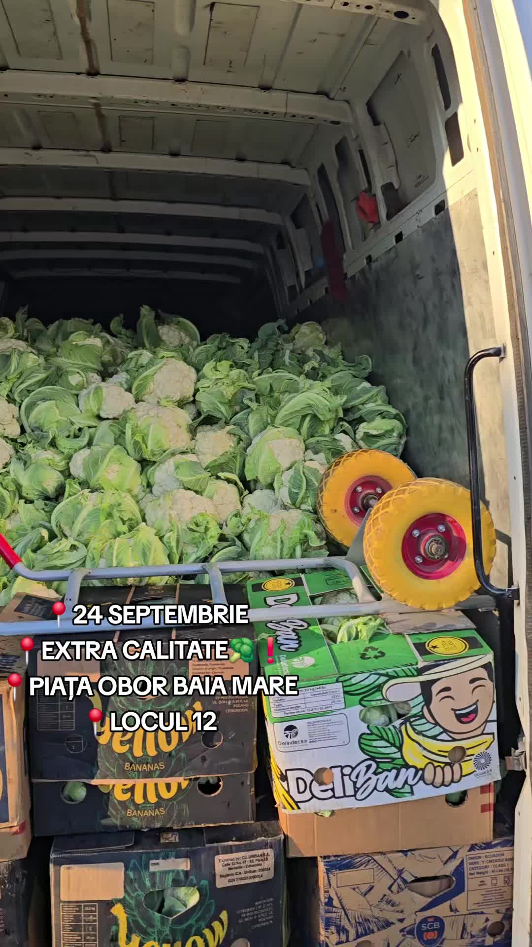 @Faze Farm