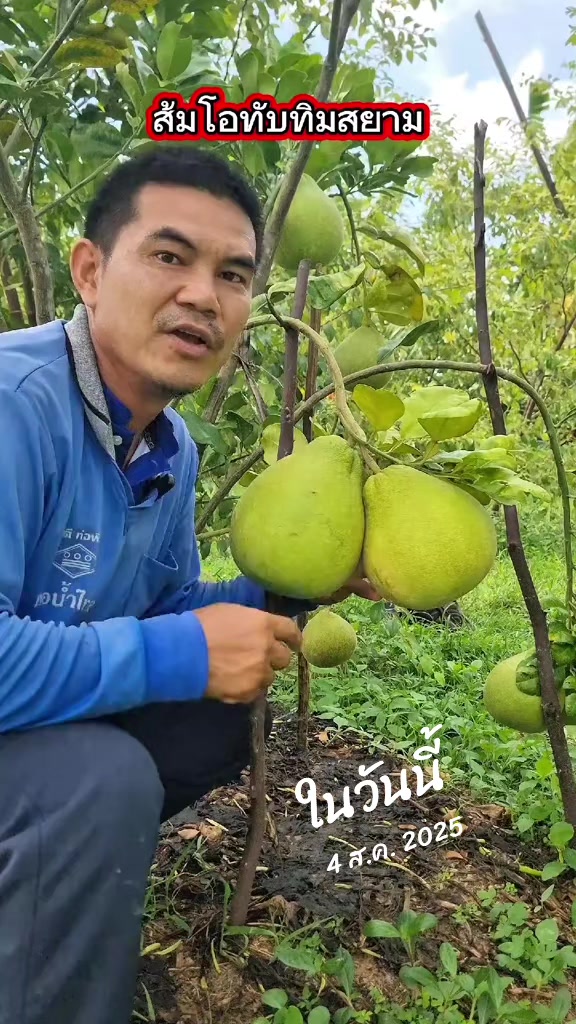 @Konloy