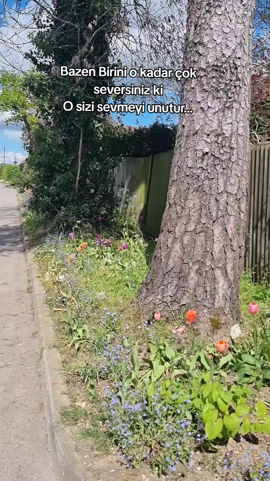 @Ay__nature