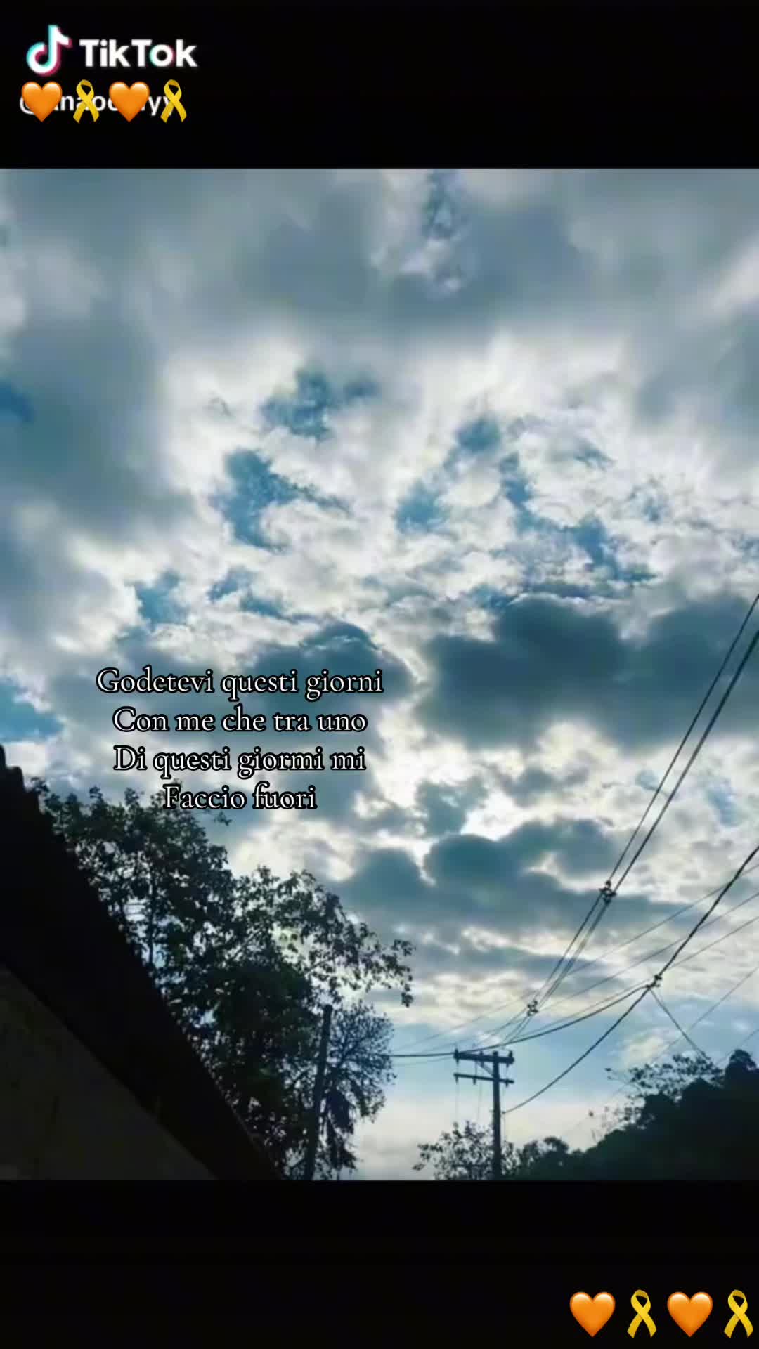 @account.sfogo8