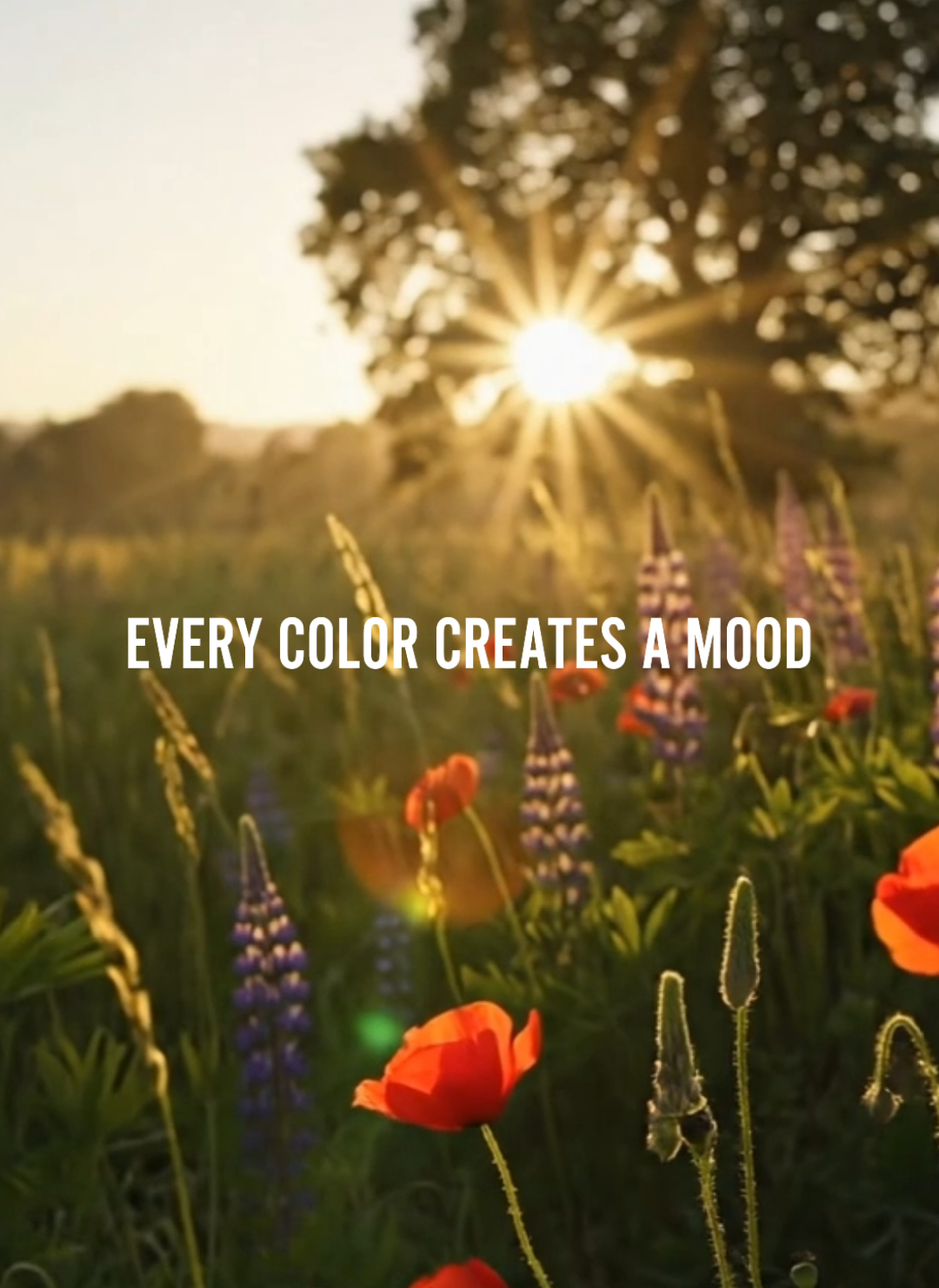 @Davies Paints