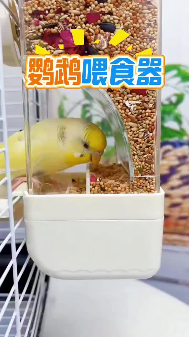 @chinabirds47