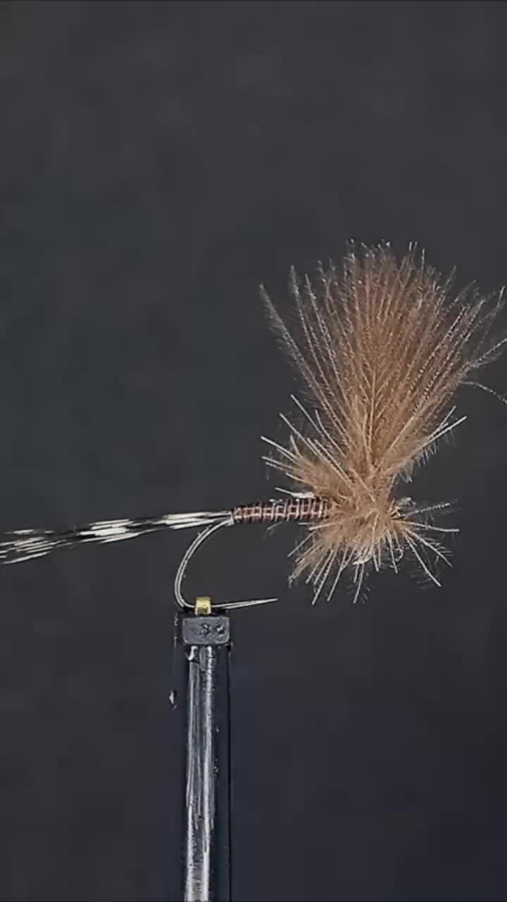 @Sauerland Fly_Fisher