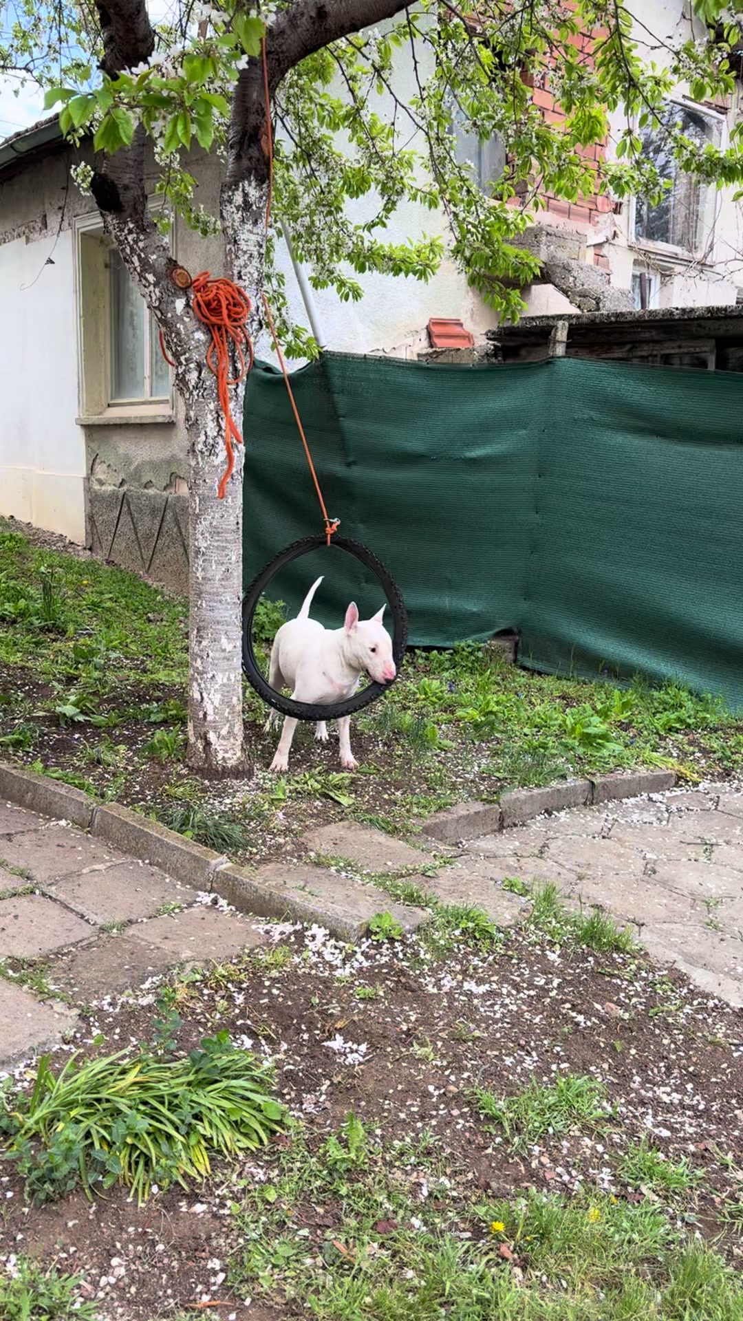 @Данте