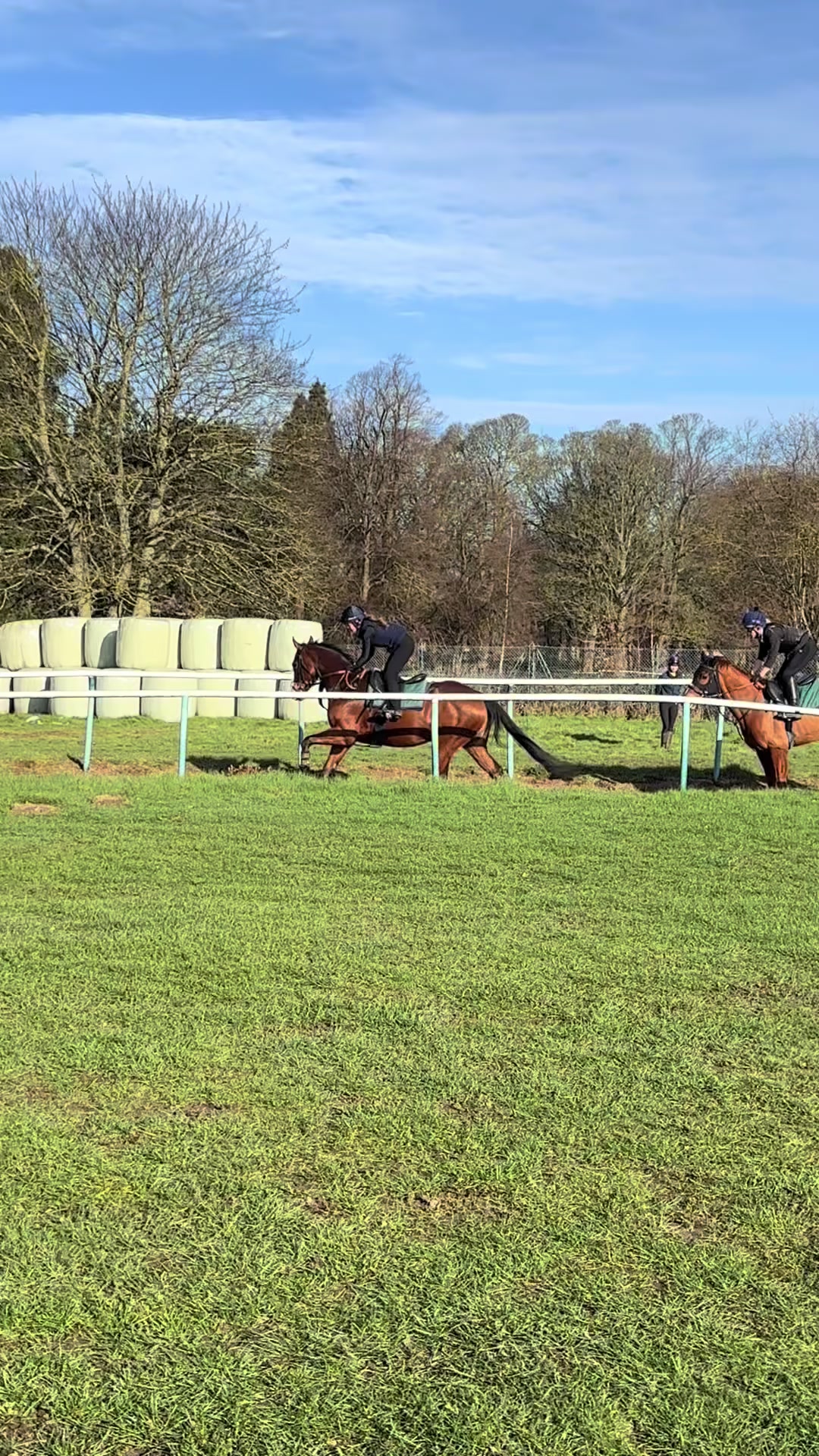 @National Horseracing College