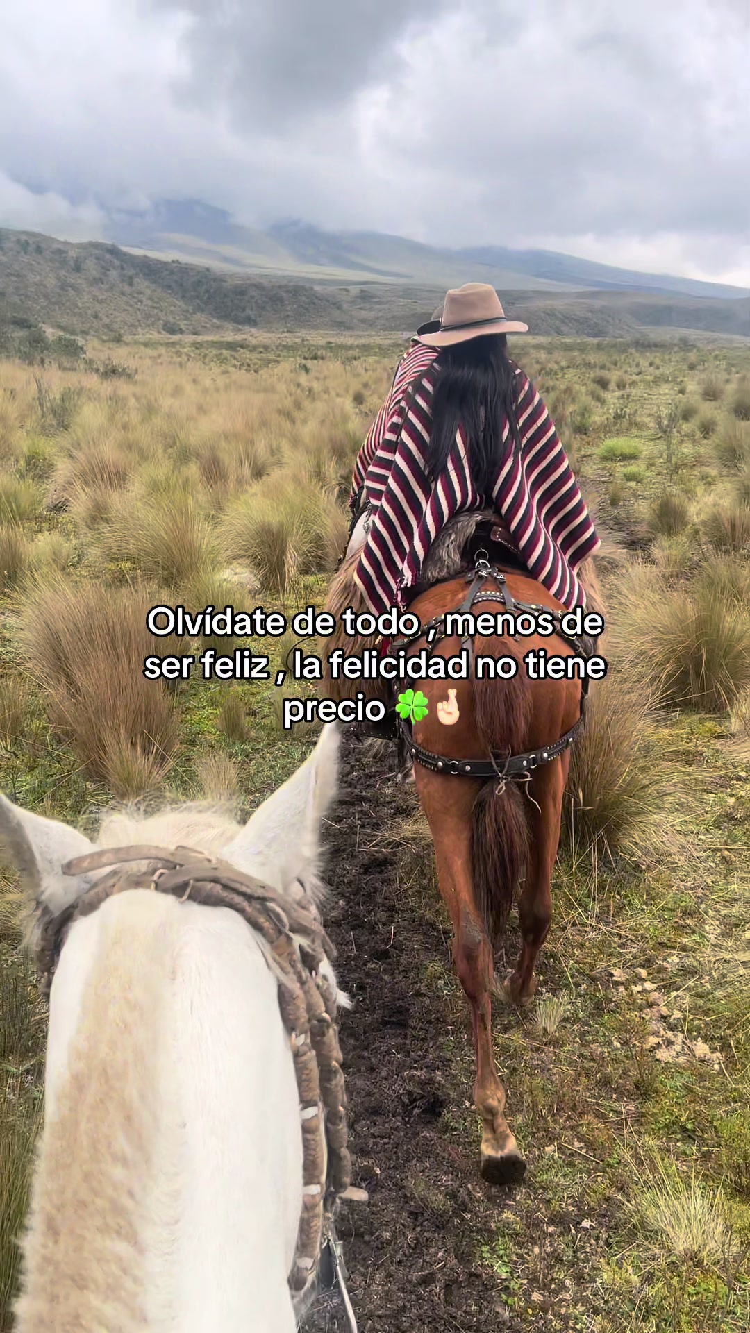 @Faaa