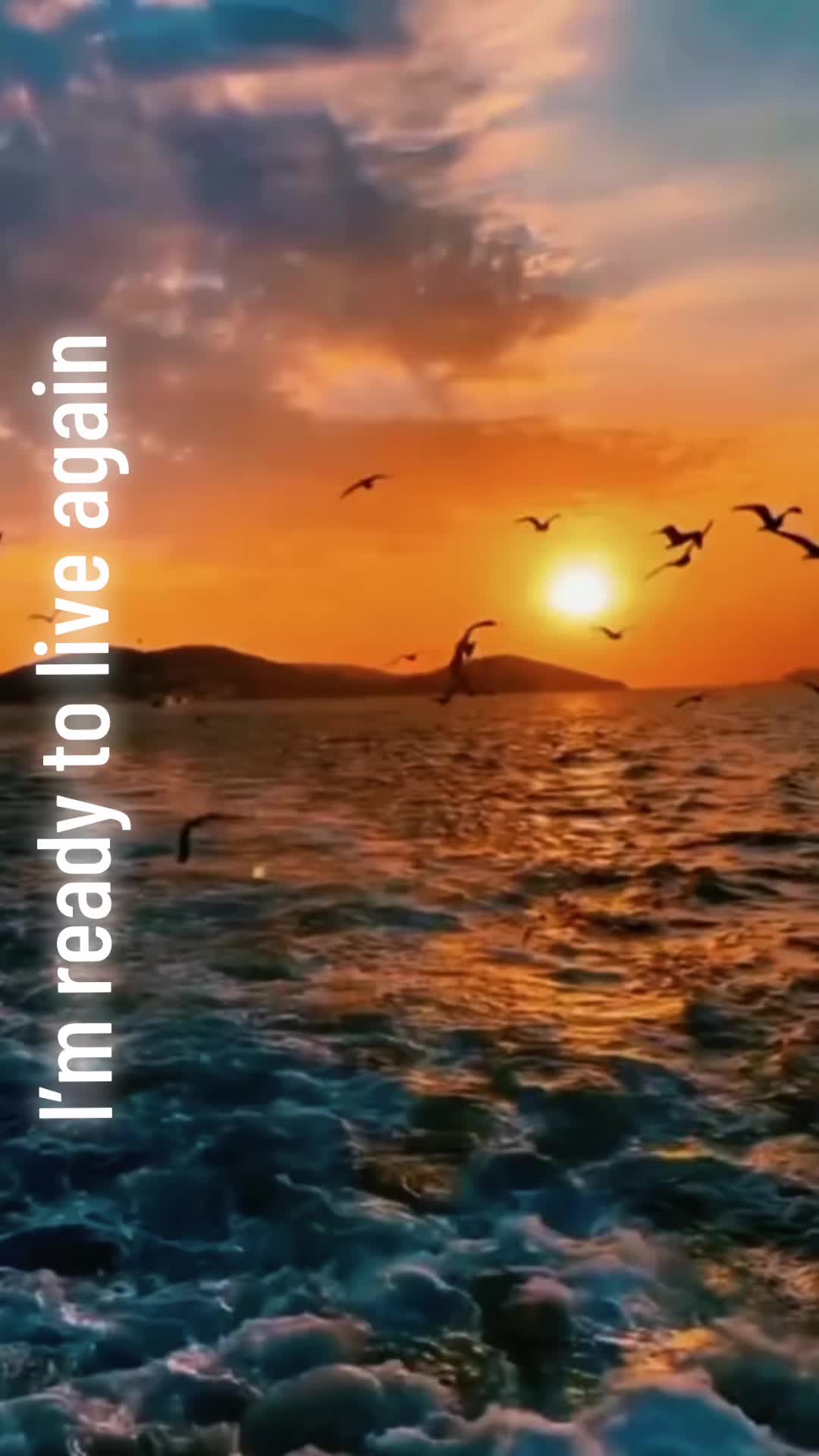 @13LesBelles13
