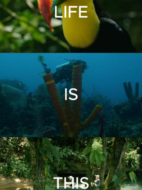 @Travel Belize