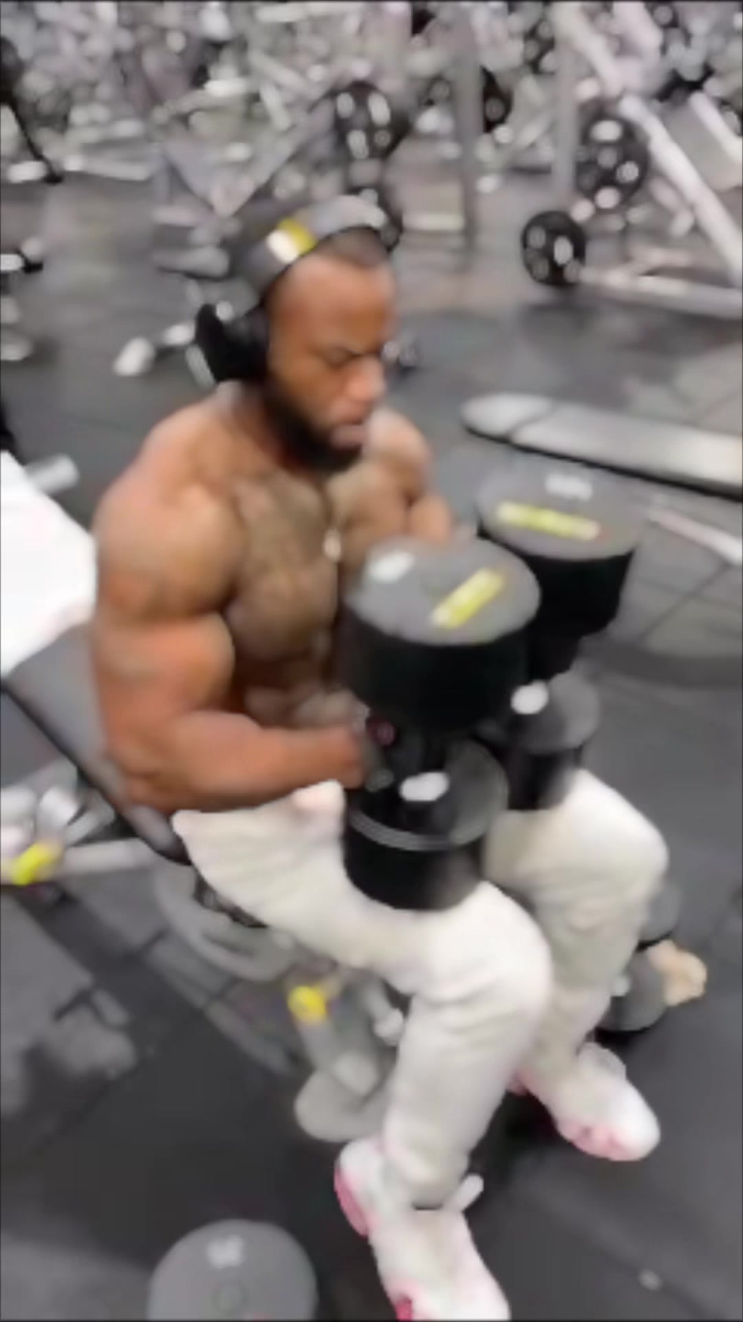 @Ext_29muscle