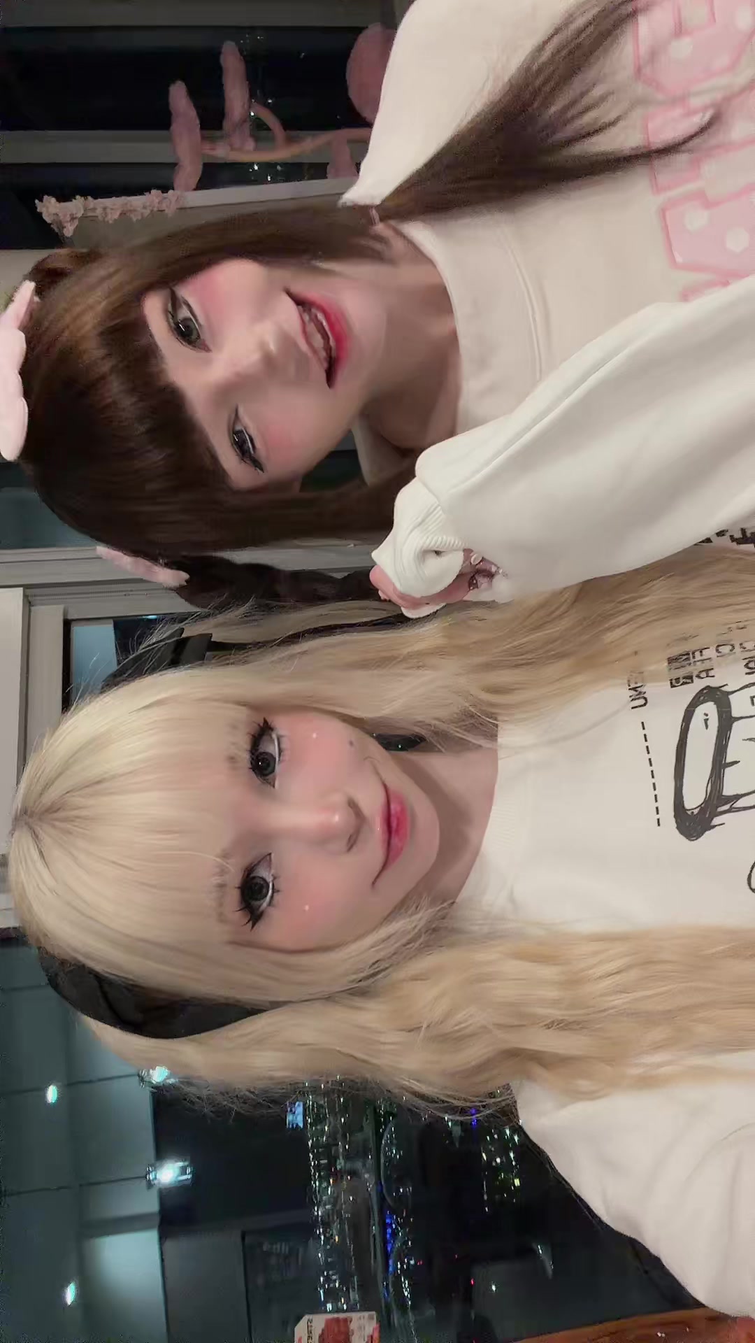 @ʚ smeepycats ɞ