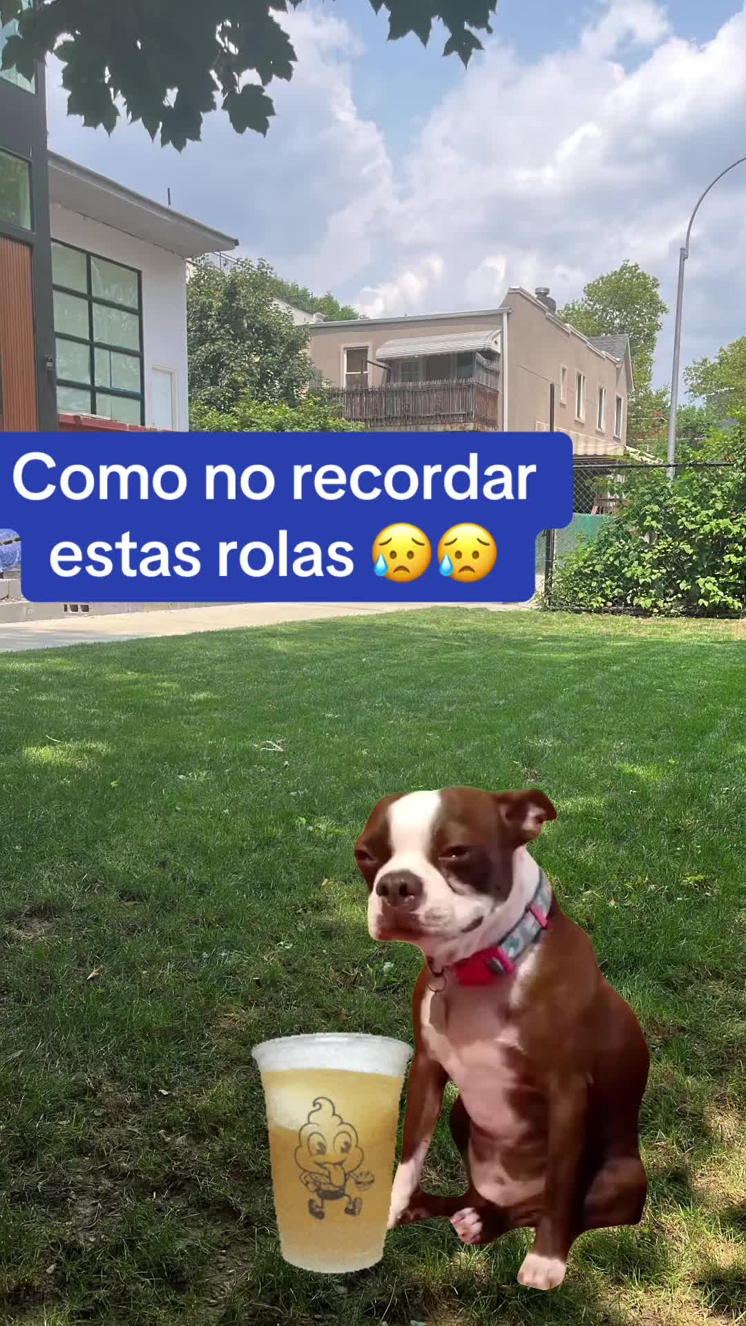 @central87