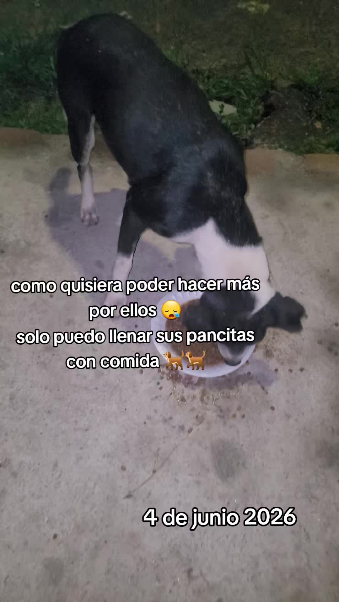 @𝕃𝕚𝕤𝕤 ℝ𝕖yes🇸🇻