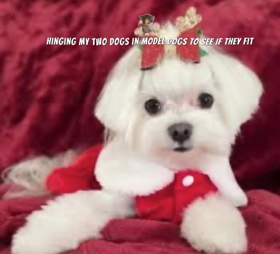 @🧸💝s🌸🌺