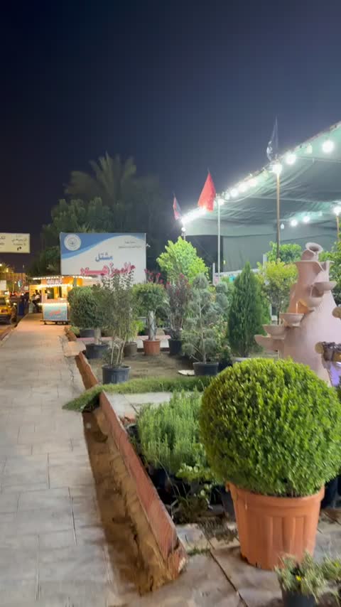 @nour🦋🦋🦋 نور