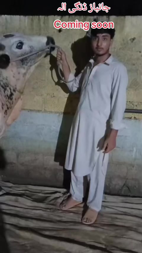 @ایا ڈنگی الہ