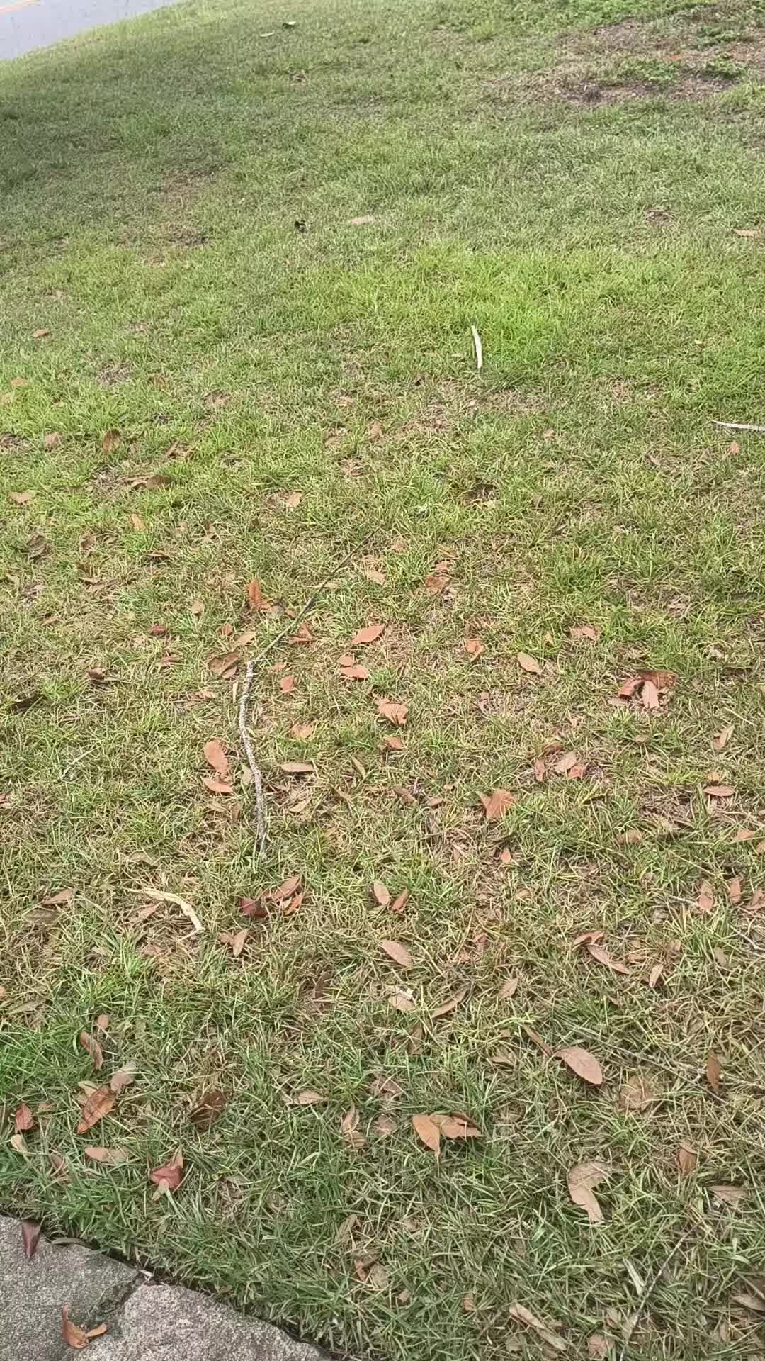 @TMAC❌️ tammymcconnell76