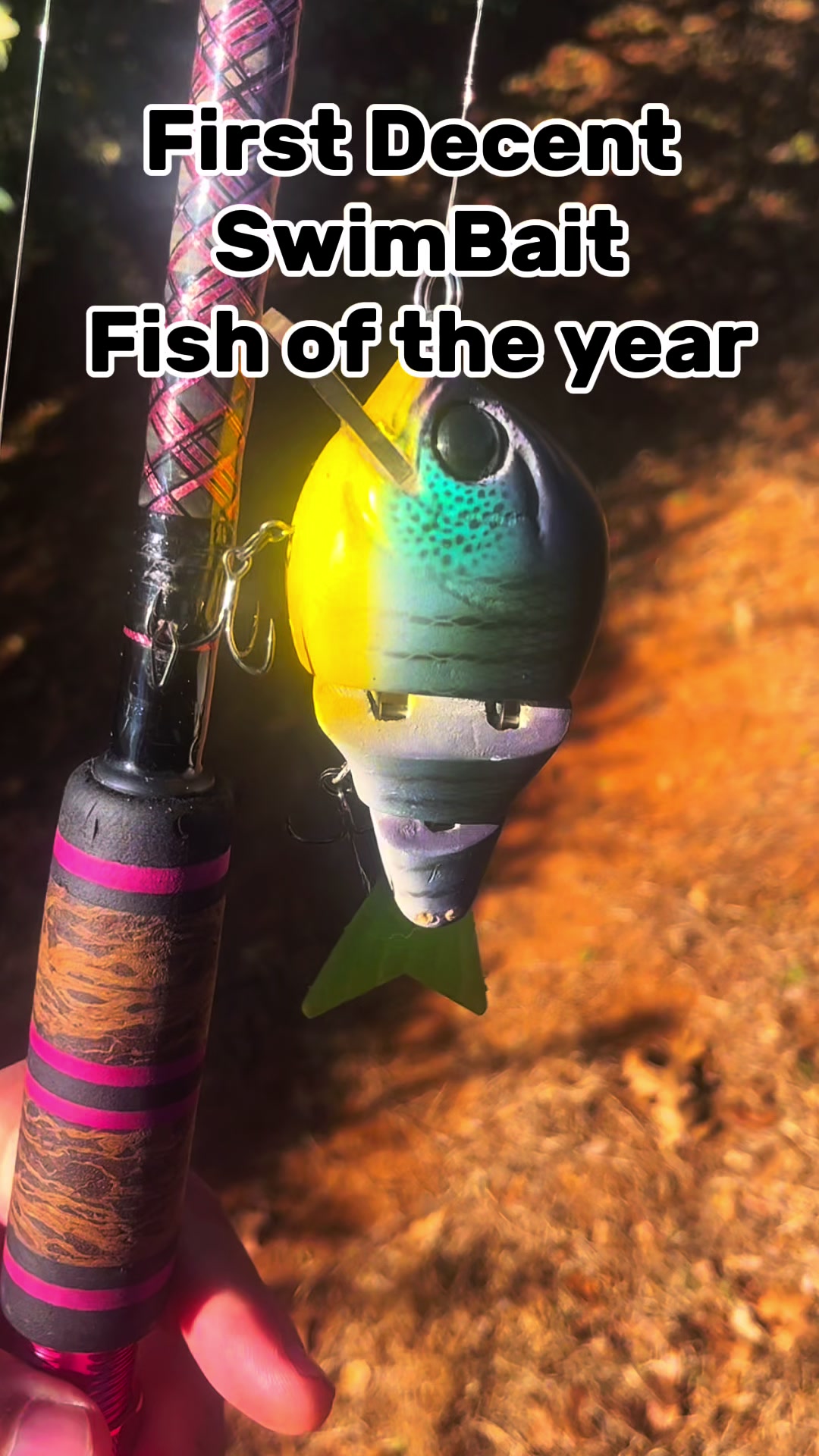 @DTFishin
