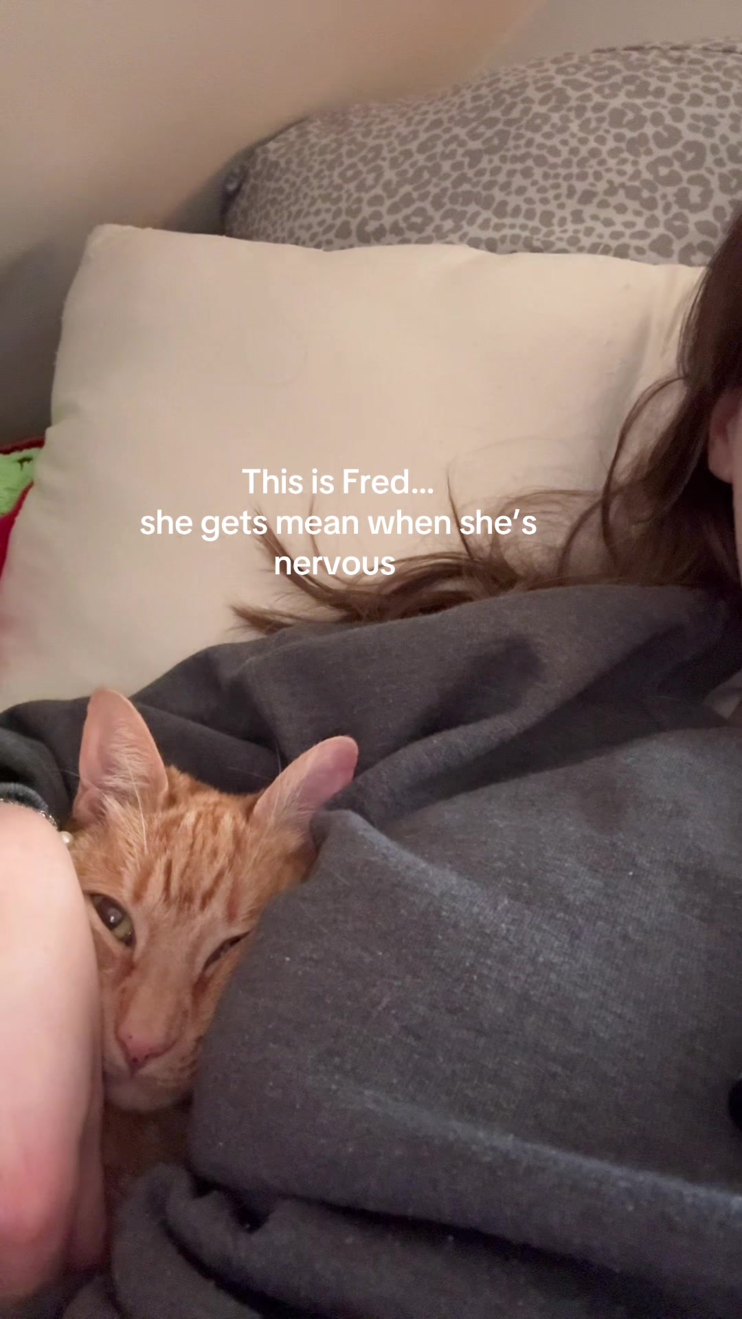 @Livvyシ