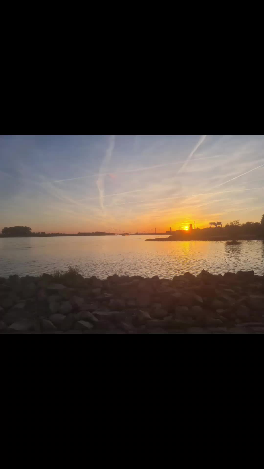 @Angelgerne