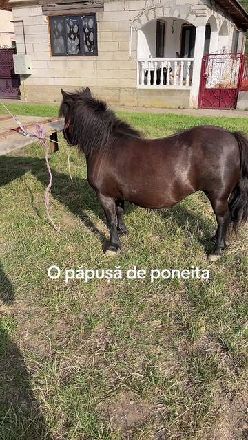 @⚜️Alex ⚜️
