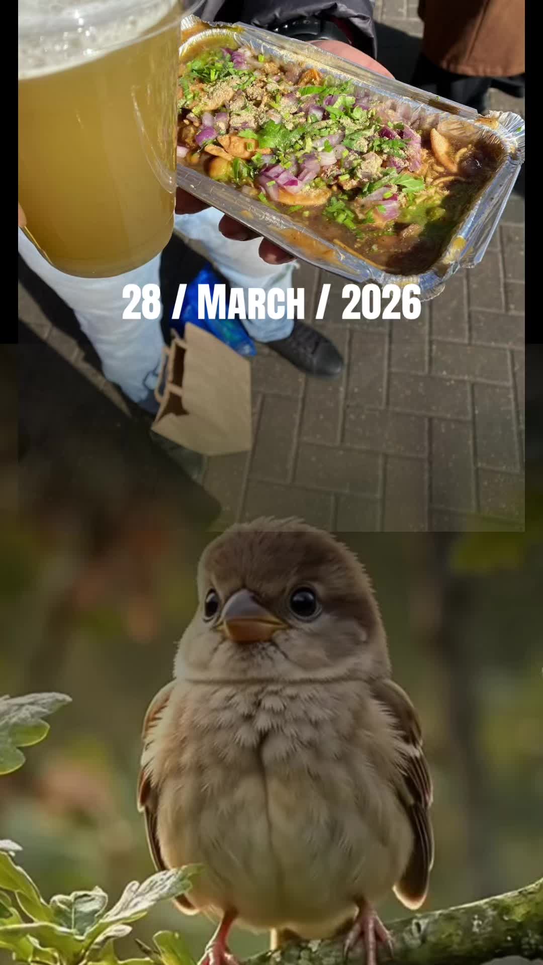 @RumanaAzed