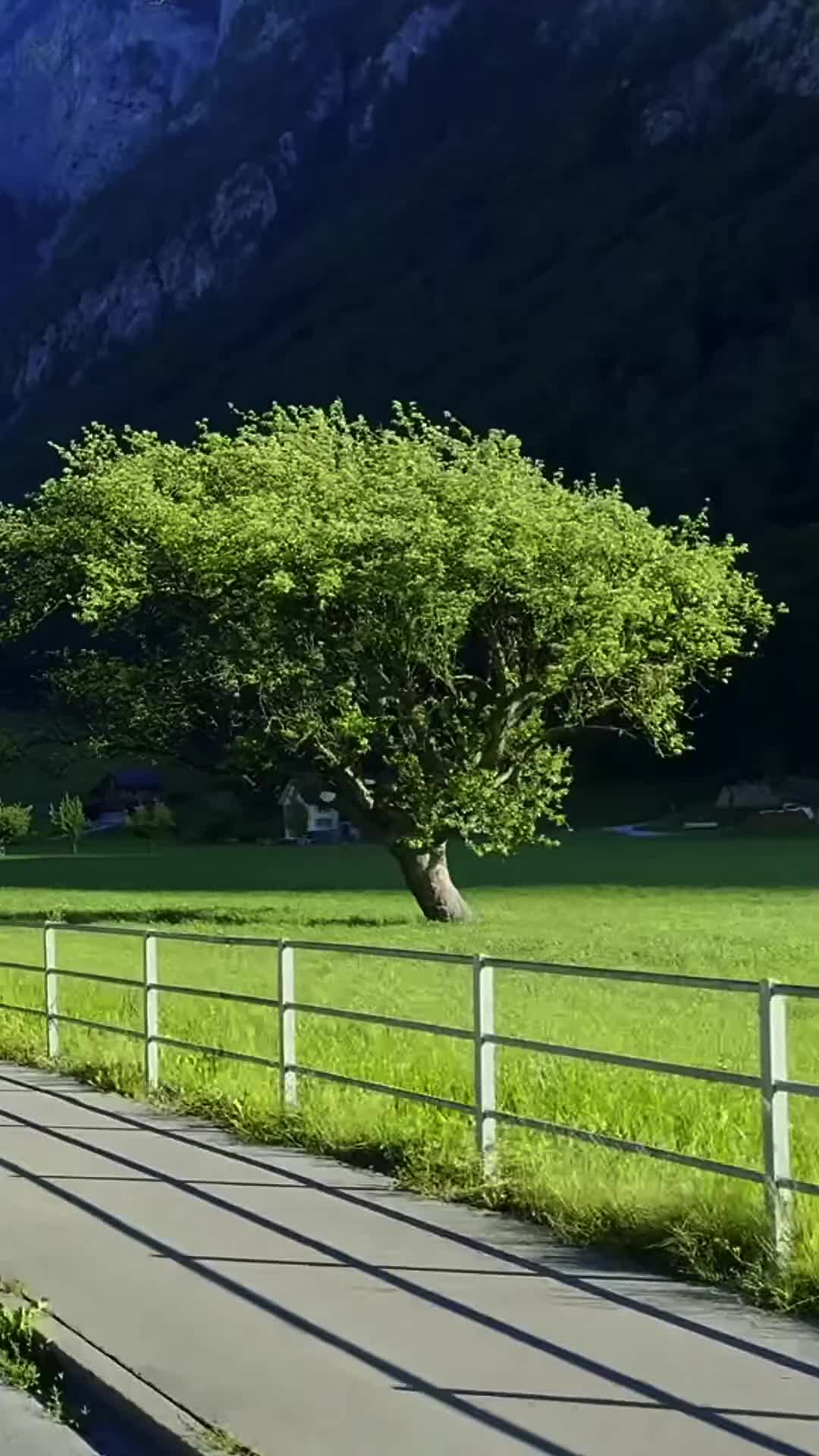 @Mountain_lover58599