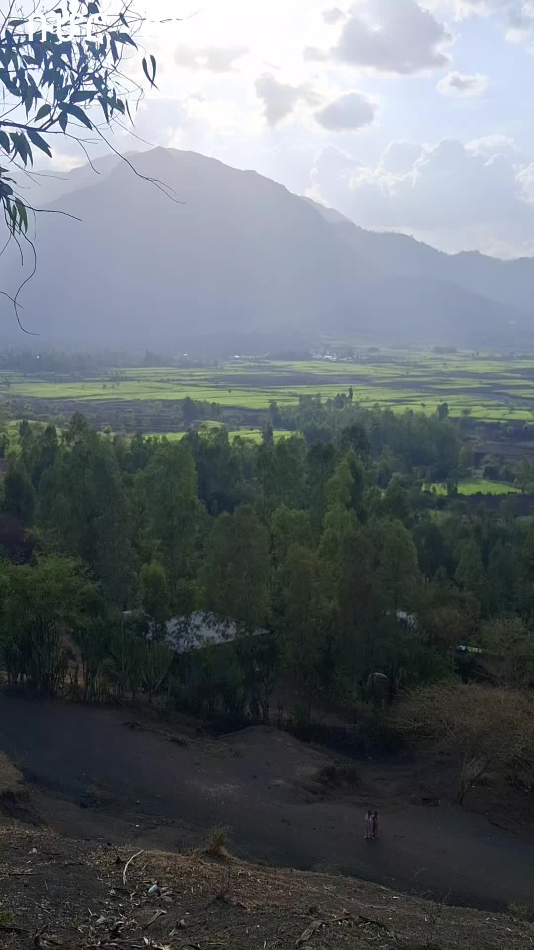 @ሰኢድ ሀበሽ