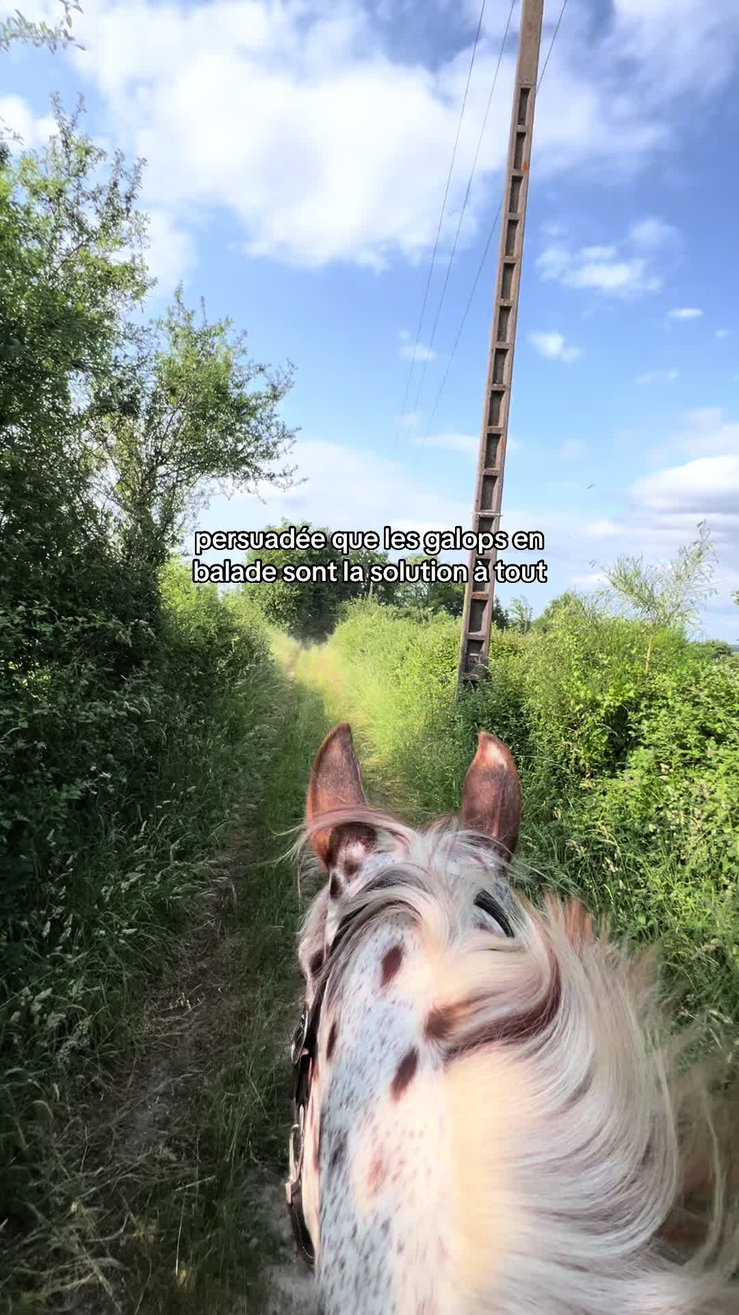 @léna