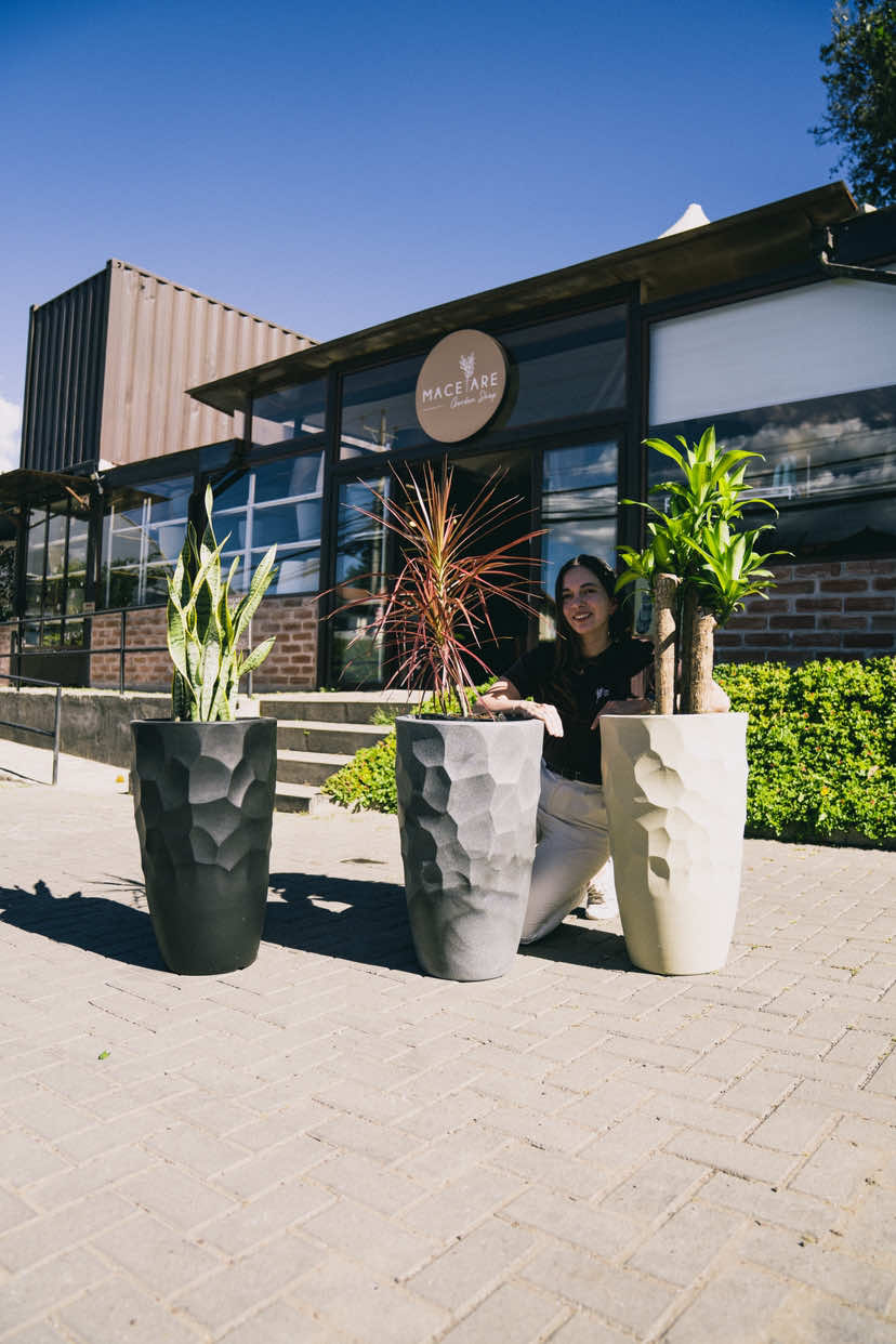 @Macetare Garden Shop Ecuador