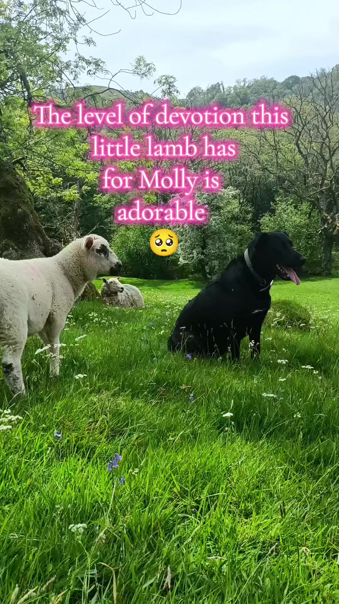 @fieldsforevere42