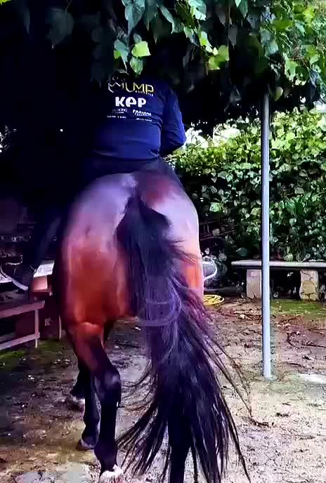 @Mikele Angioni